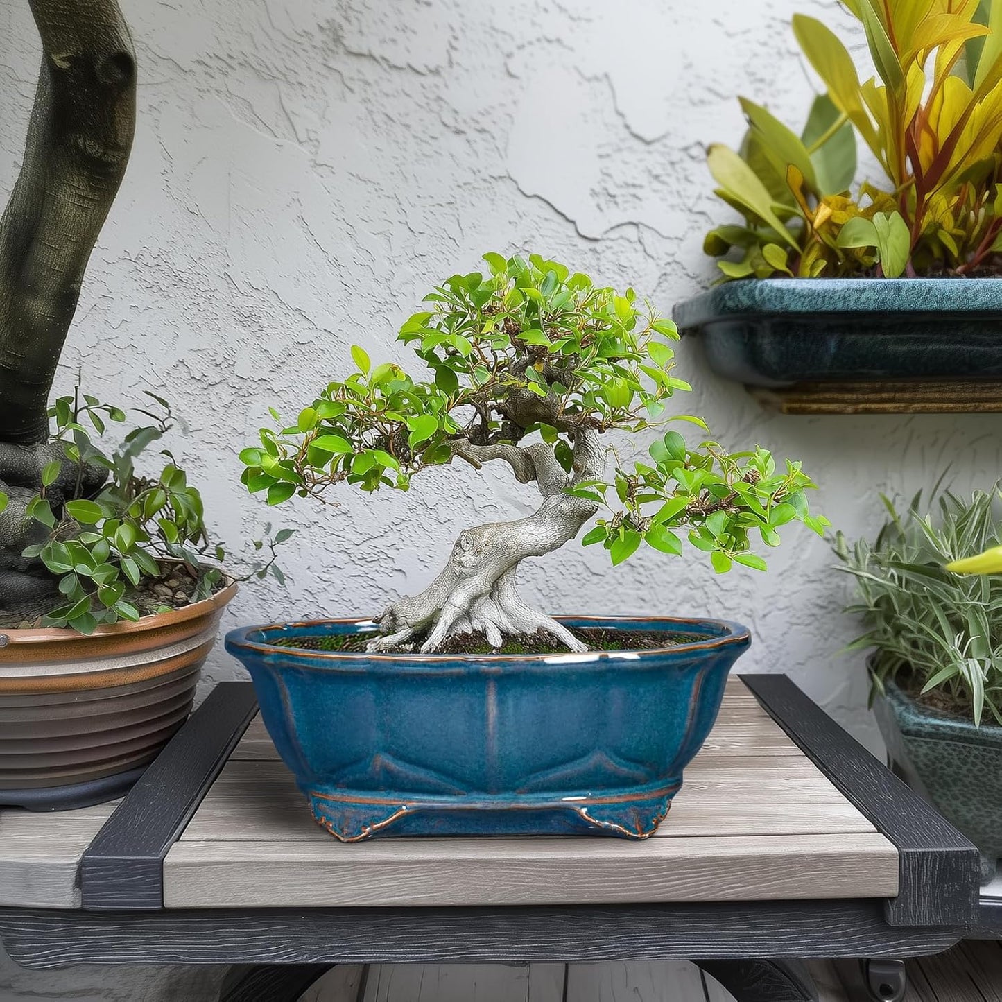 Bonsai Tree Pot - 11 Inch Ceramic Succulent Pots, Bonsai Planter for Indoor Outdoor, Decorative Plant Pot with Drainage Hole, Oval Flower Pot, Home Garden Decor, Garden Gifts, Retro Blue