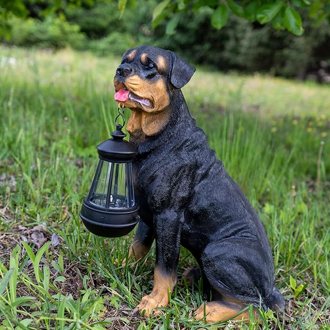 Notakia Resin Dog Rottweiler Statues and Sculptures with Solar Led Home Garden Decoration Windproof Lamp Outdoor Lighting Decor (Rottweiler &LED)