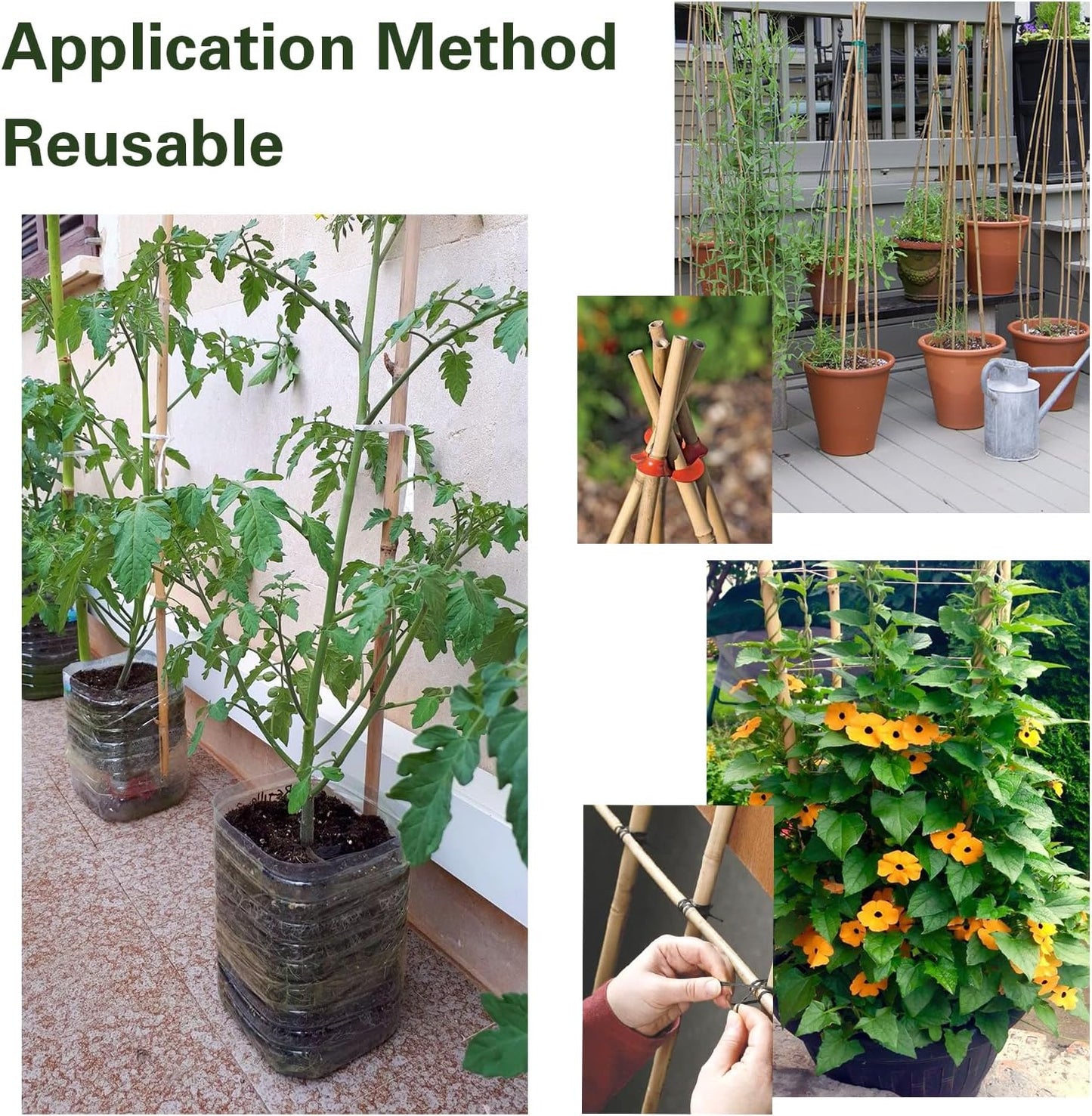 Bamboo Stakes 2FT 35pcs, 24 inch Garden Stakes Multi-Purpose, Bamboo Plant Support Stakes for Beans, Peppers, Flowers, Potted, Maintain The Plant Posture, Strengthen and Stem