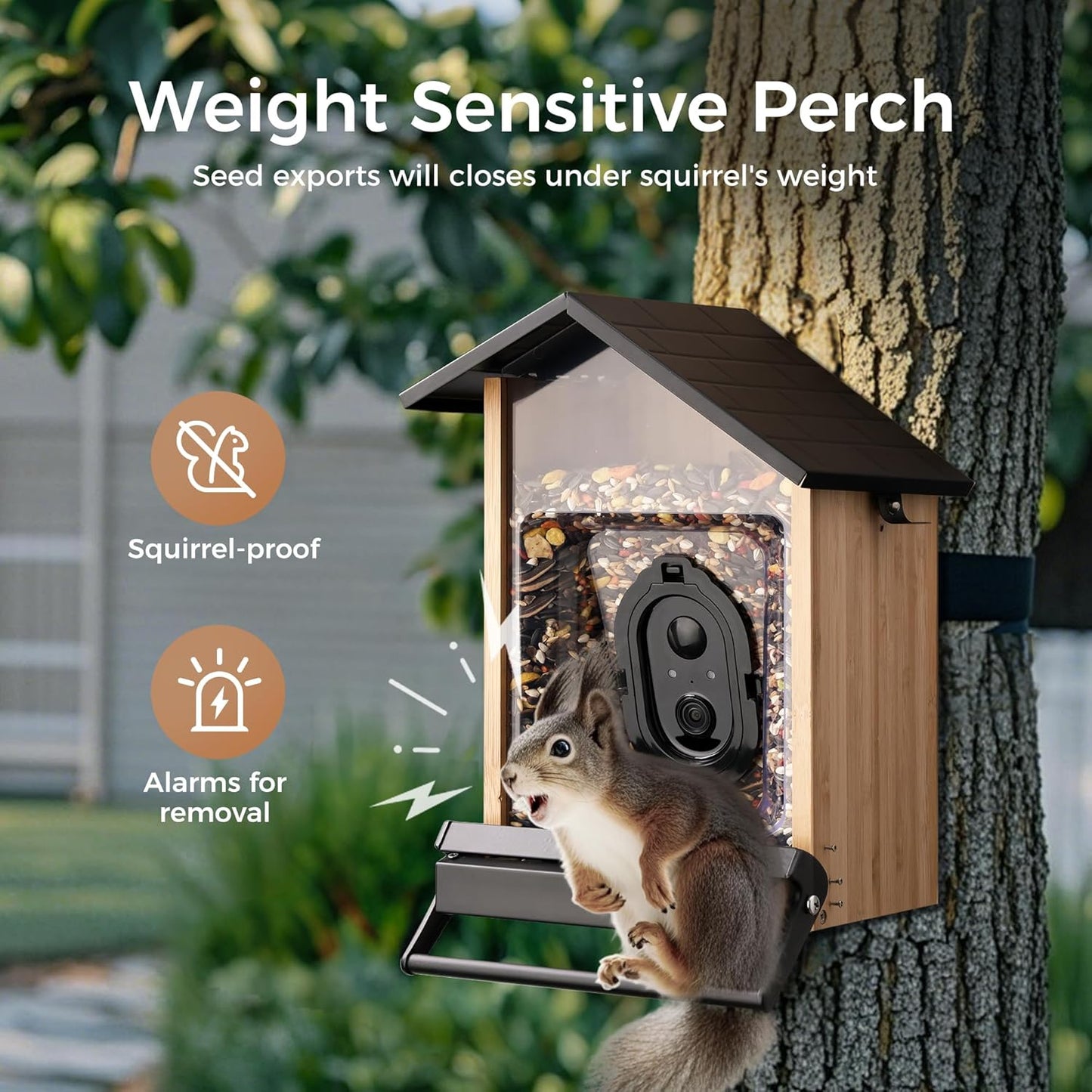 Smart Squirrels-Proof Bird Feeder with Camera Solar Powered, AI Identify Bird Species, Instant Notification Camera, CCPA Data Security, 3.2L Ultra Large Capacity Gift