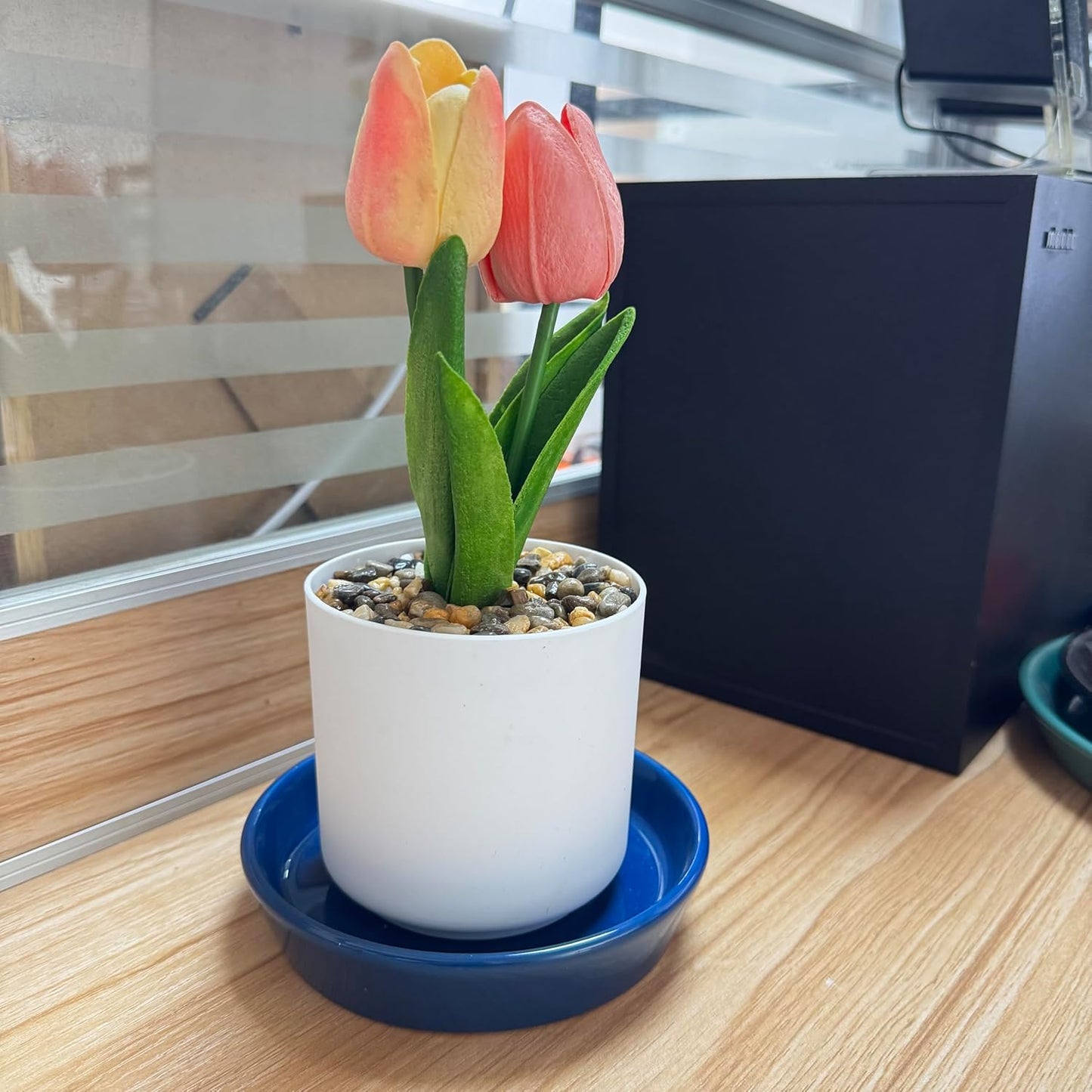 4 Pack of Plant Saucer, 5 inch Glazed Ceramic Plant Tray, Deep Drainage Tray for 4 Inch Flower Pot,Plant Dish Plate to Catch Water for Indoor & Outdoor