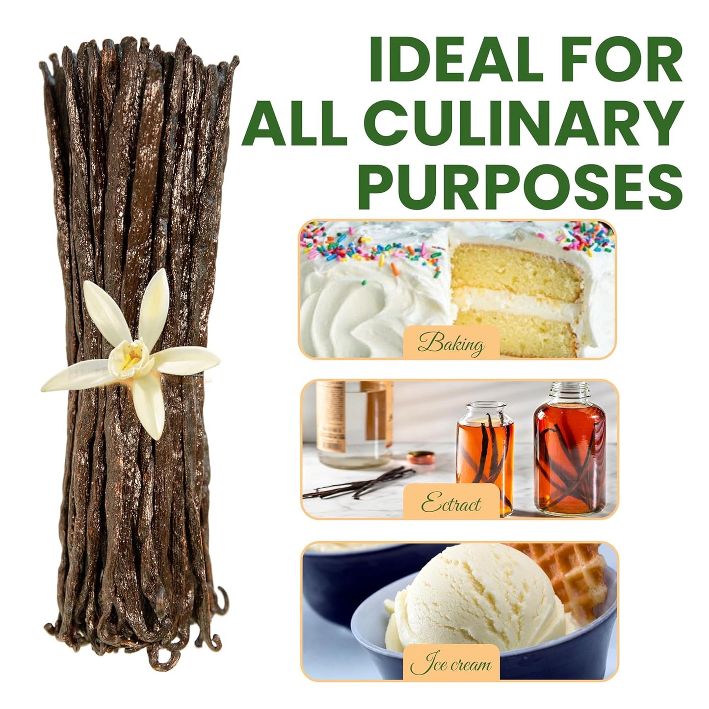 50 Count Organic Madagascar Vanilla Beans – Grade A Bourbon Pods | Gourmet Whole Vanilla Beans for Baking, Cooking, Extract Making | Rich Aroma, Premium Flavor, Non-GMO, Vegan