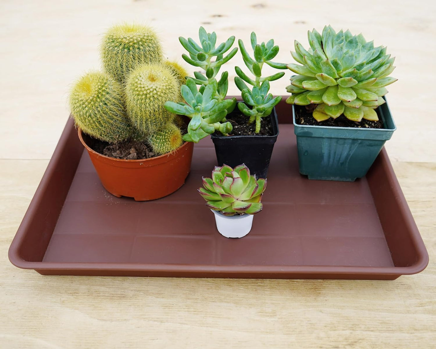 4 Pack Plant Saucer Tray Rectangular, Plant Saucers for Indoors, Heavy Sturdy Plastic Plant Drainage Trays, Plant Drip Trays for Pots, Seed Starter Growing Tray (11 x 9 inch, Chocolate)