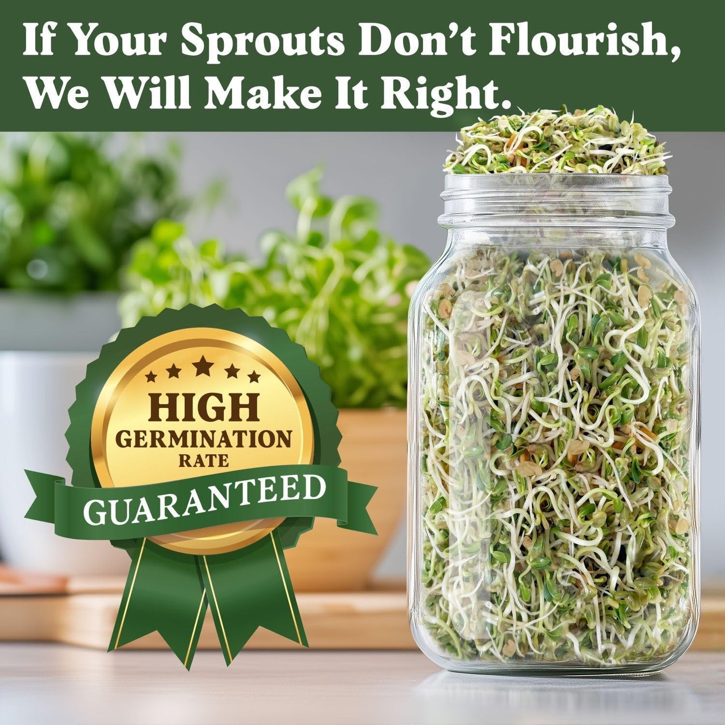 Seedboy Organic Fenugreek Seeds for Sprouting - Non-GMO, USDA Organic Microgreens Sprouting Seeds Mix - Makes 8 Quarts of Sprouts, 24 Servings (8 oz) (Fenugreek)