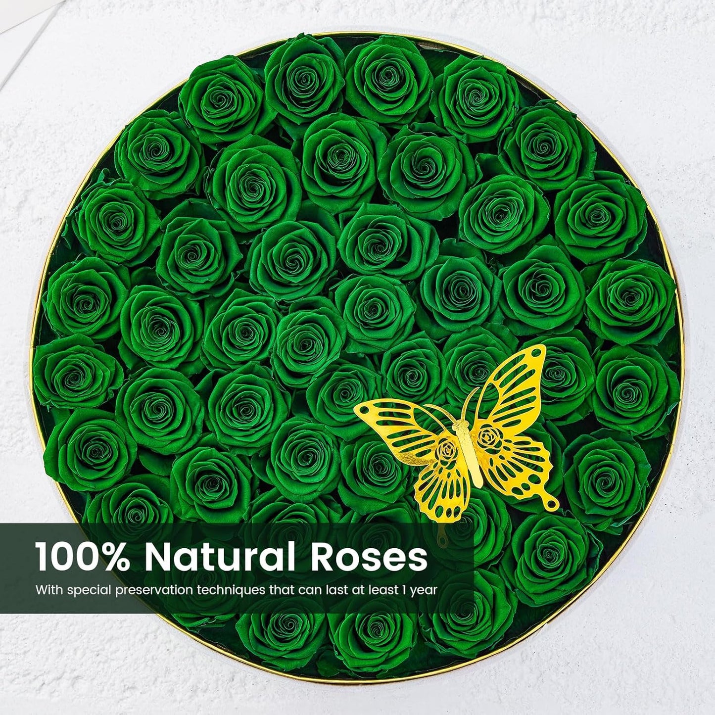 Preserved Roses Forever Flowers Real Roses in a Box Mother's Day Birthday Flowers for Her Mom Women Wife Valentine's Day, Green, 47 Piece