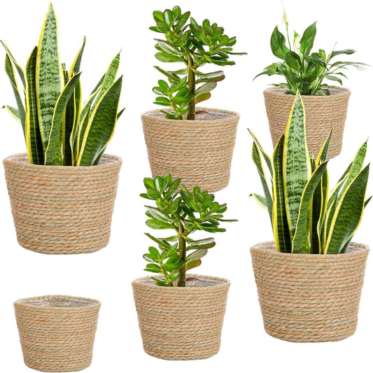 Mumufy 6 Pcs Seagrass Planter Basket Flower Pots Cover Plant Baskets Hand Woven Plant Basket Storage Containers with Plastic Liners for Indoor Outdoor Flower Pots Decoration 10, 7, 8.3 Inch(Classic)