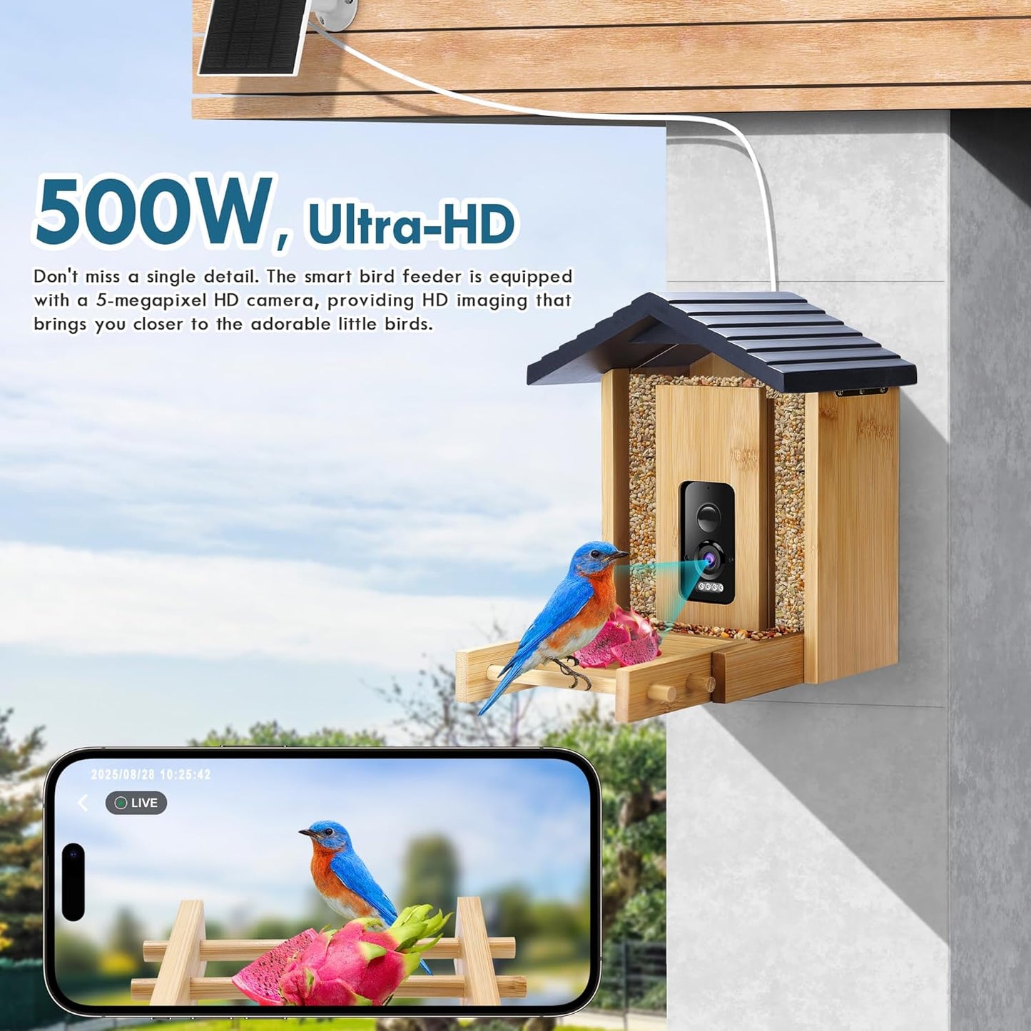 Bird Feeder, 5MP Solar-Powered Smart Bird Feeder with Camera, AI Identifies Birds 10000+, 2.4GHz, Color Night Vision, Instant Notification, Easy to Use, 1.5L Birds Feeders for Outdoor, Yard