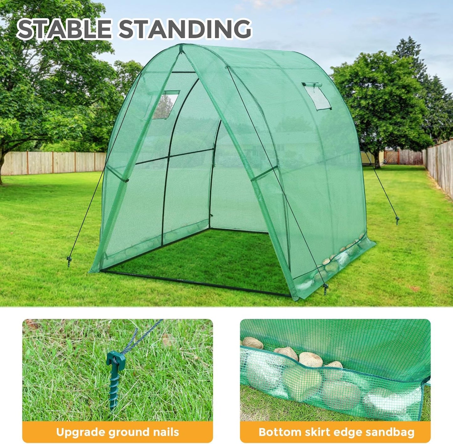 EAGLE PEAK Tunnel Greenhouse Garden Green House with Zippered Door and 2 Roll-up Side Windows, 70.9"x70.9"x78.7", Clear/Green