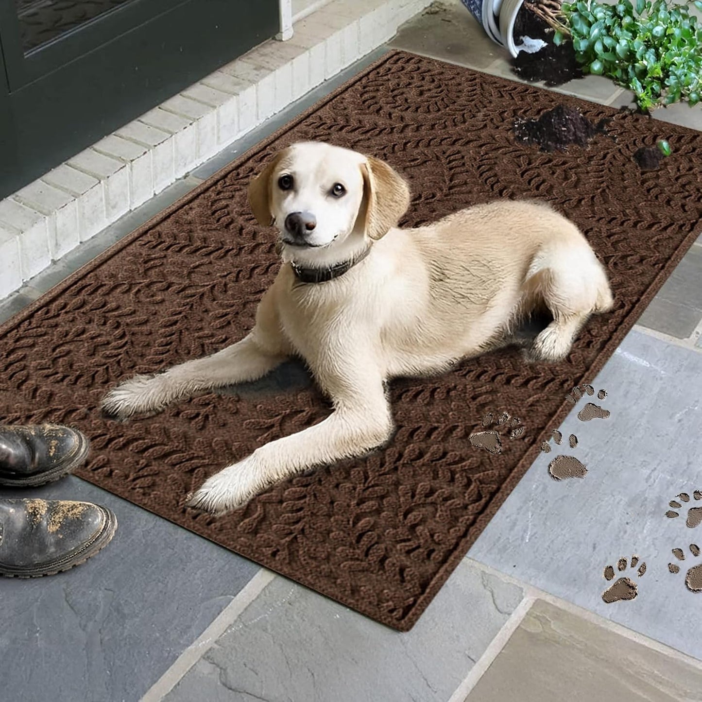 WaterHog Indoor/Outdoor Door Mat, 3' x 5', Made in USA, Durable & Skid-Resistant Front Door Rug, Decorative, Water-Trapping & Heavy-Duty Entryway Mat for Your Home, Boxwood Collection, Dark Brown