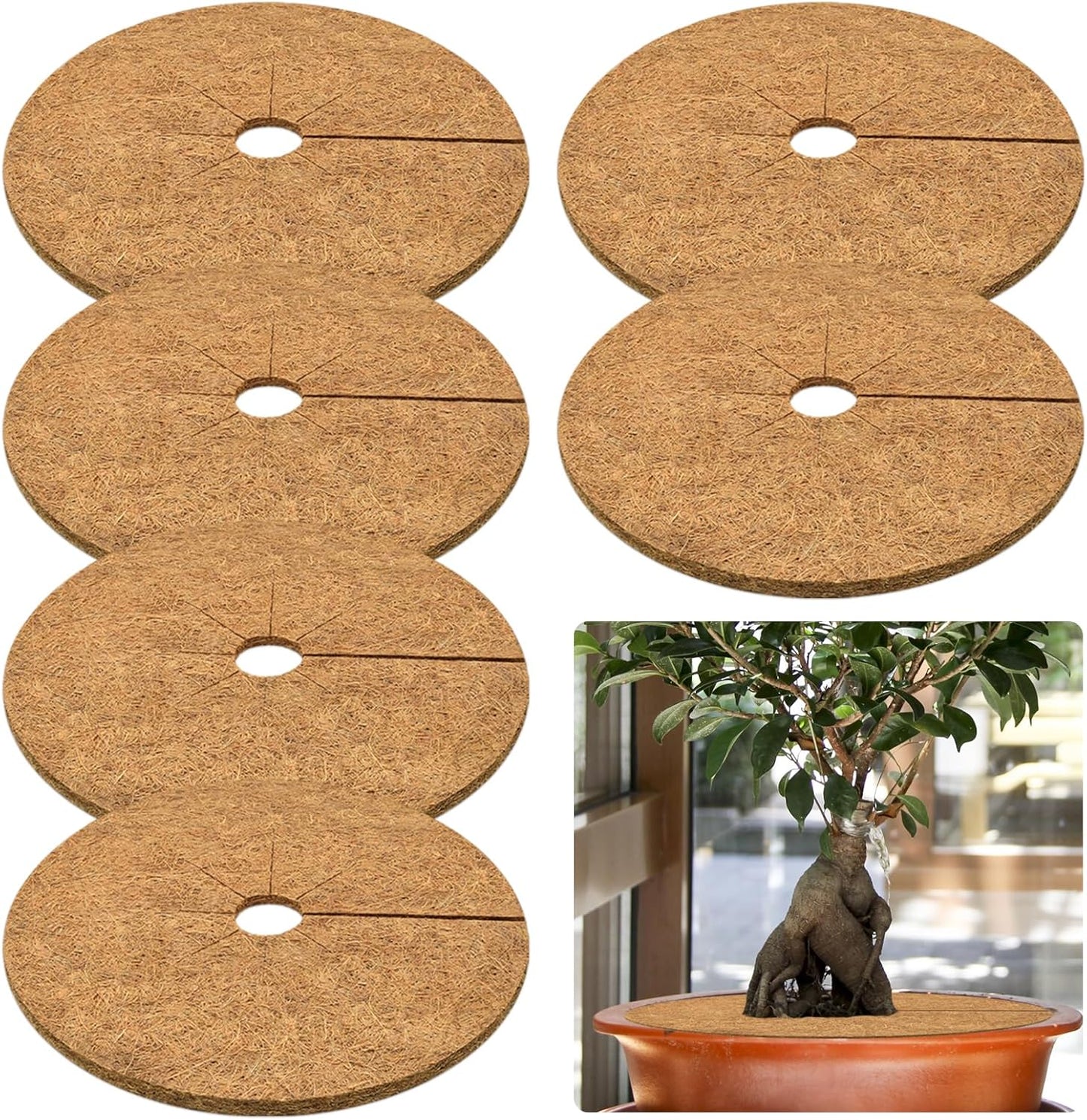 ZeeDix 6 Pack Coconut Fiber Mulch Ring, 24 Inch Coco Coir Tree Ring Mulch Mat, 100% Natural Tree Protector Mat Plant Cover Ring Coconut Coir Discs Tree Mats Mulch Rings for Indoor Outdoor Trees Plants