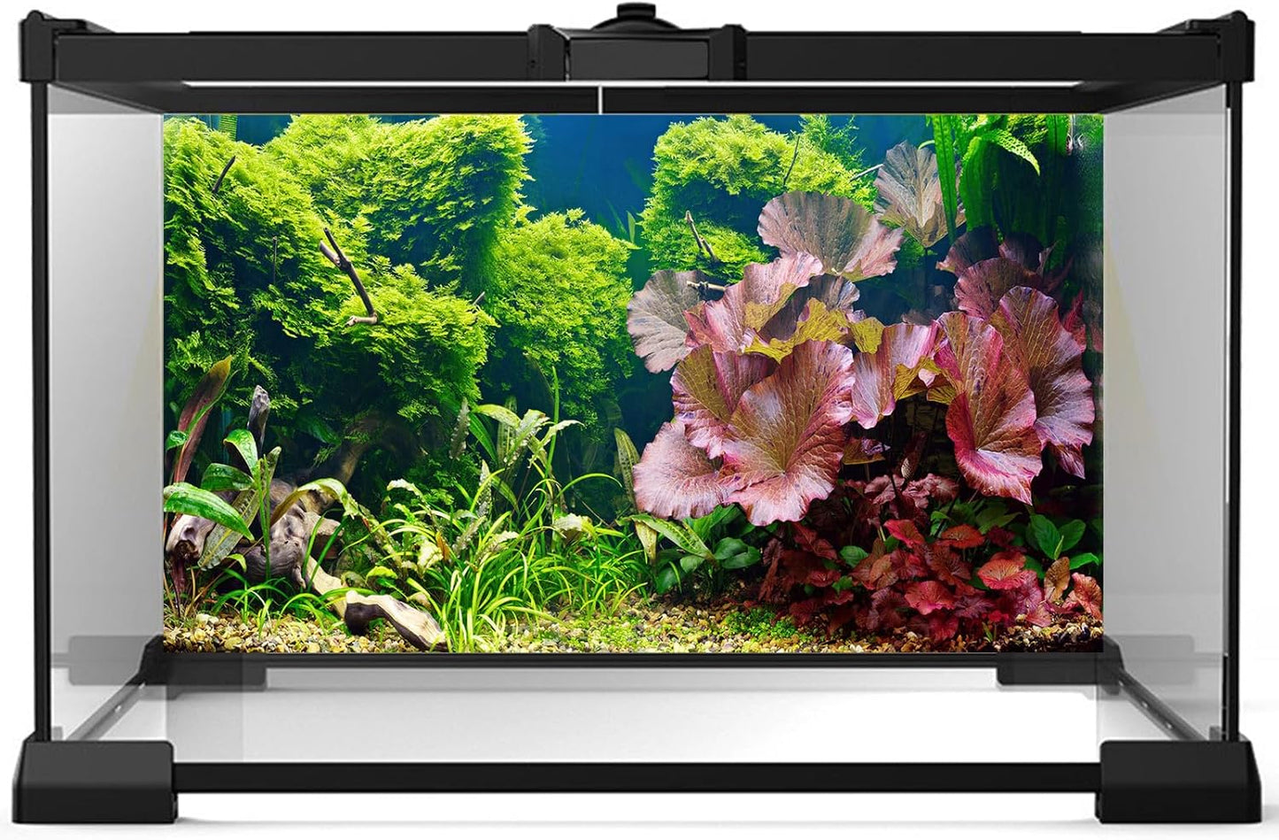 Aquarium Background Underwater Grass Leaves Pebble Aquarium Backdrop Vivid and Fresh Green Aquatic Plant Background Stone River Bed DeadWood Purple Leaves Tank Background Decor Vinyl 36x24in