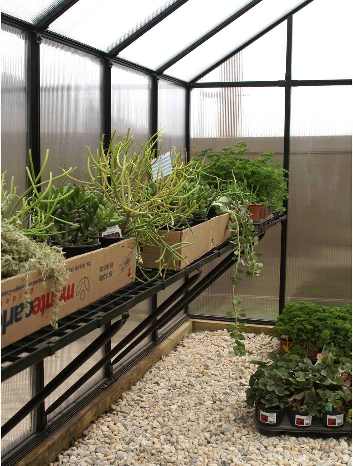 Greenhouse Work Bench System Size: 16' W