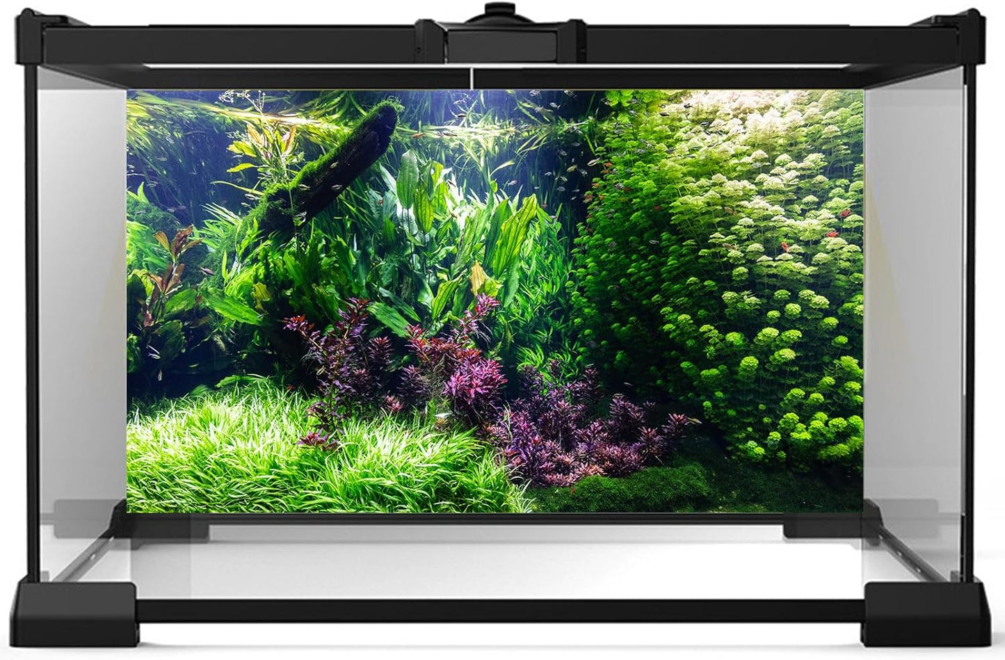 Aquarium Background Various Underwater Grass Plants Aquarium Backdrop Vivid and Fresh Green Aquatic Plants Stone River Bed and Dead Wood Tank Background Vinyl 48x20in