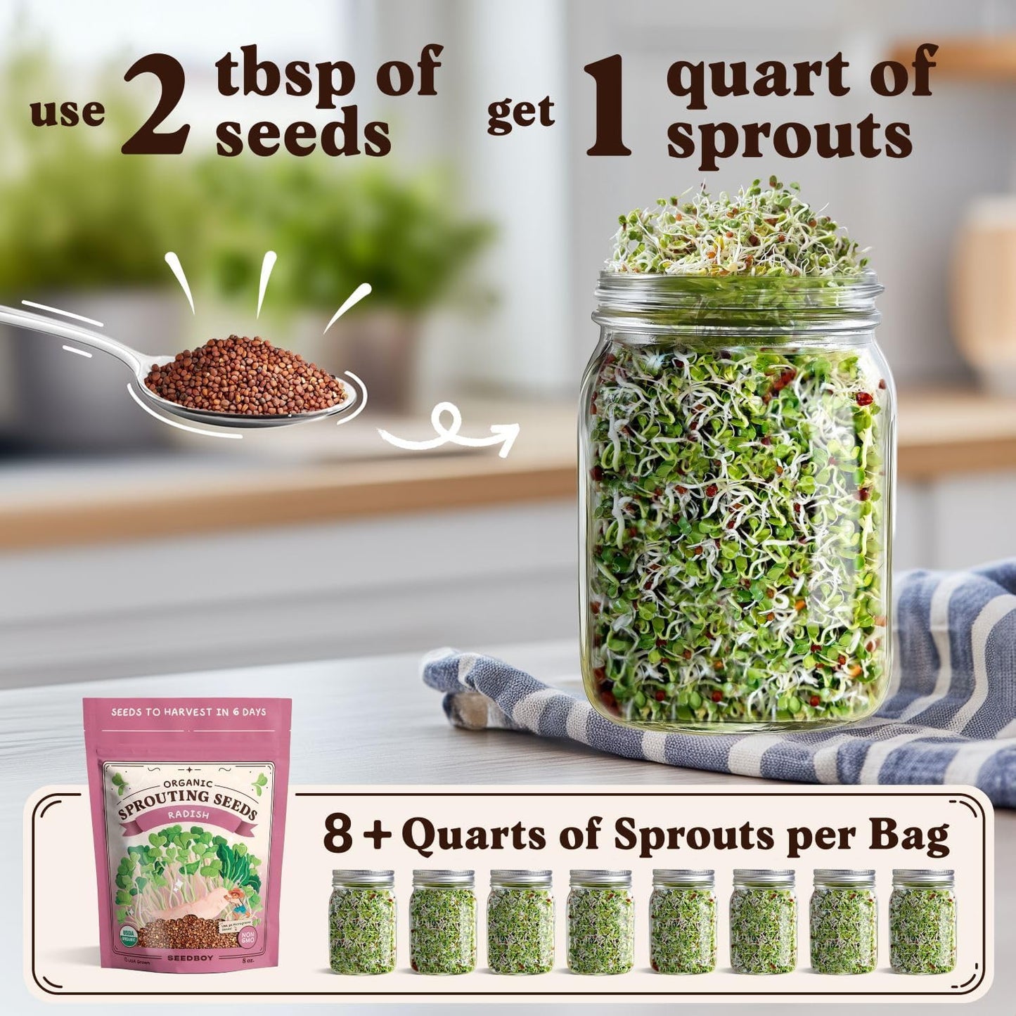 Seedboy Organic Radish Seeds for Sprouting - Non-GMO, USA Grown Microgreens Sprouting Seeds Mix - Makes 8 Quarts of Sprouts, 24 Servings (8 oz) (Daikon Radish)