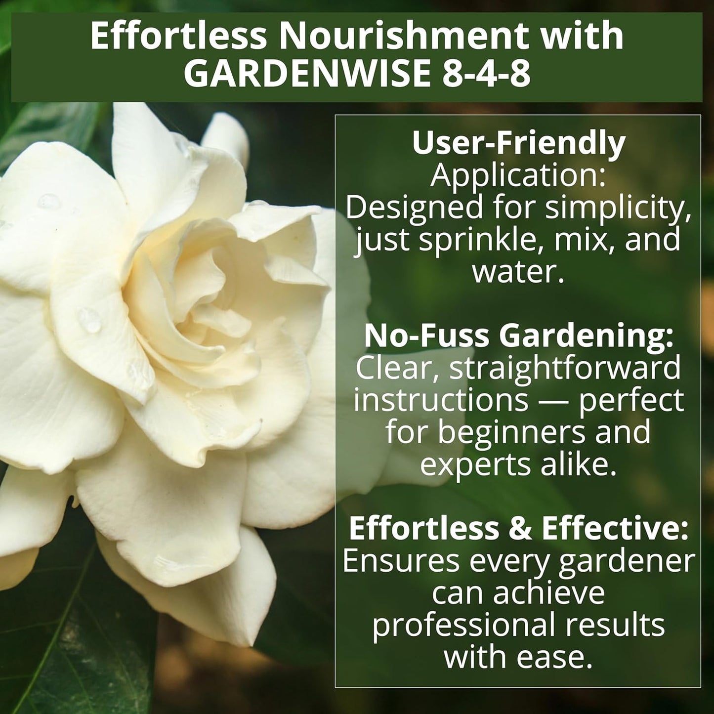 8-4-8 Acidic Fertilizer for Azaleas, Camellias (Camelia), Hydrangeas, Blueberries, Gardenias, Magnolia Trees, Evergreens, and Rhododendrons - Ideal Iron-Rich Plant Food (1/2 Quart)