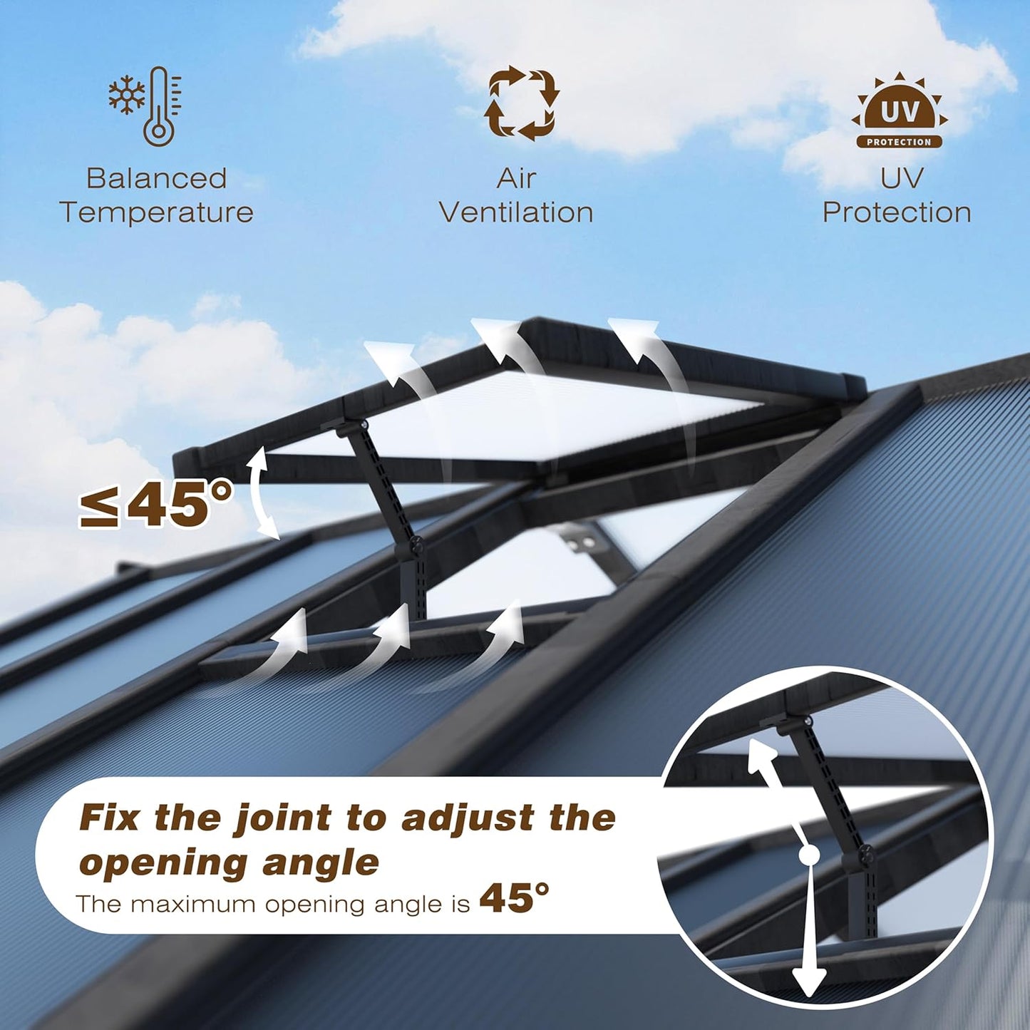 BlueWish 6x10FT Greenhouse, Greenhouse for Outdoor with Cedar Frame, Adjustable Vent, Wood Greenhouses with Polycarbonate Panel, Green House for Outside, Garden, Backyard, Black