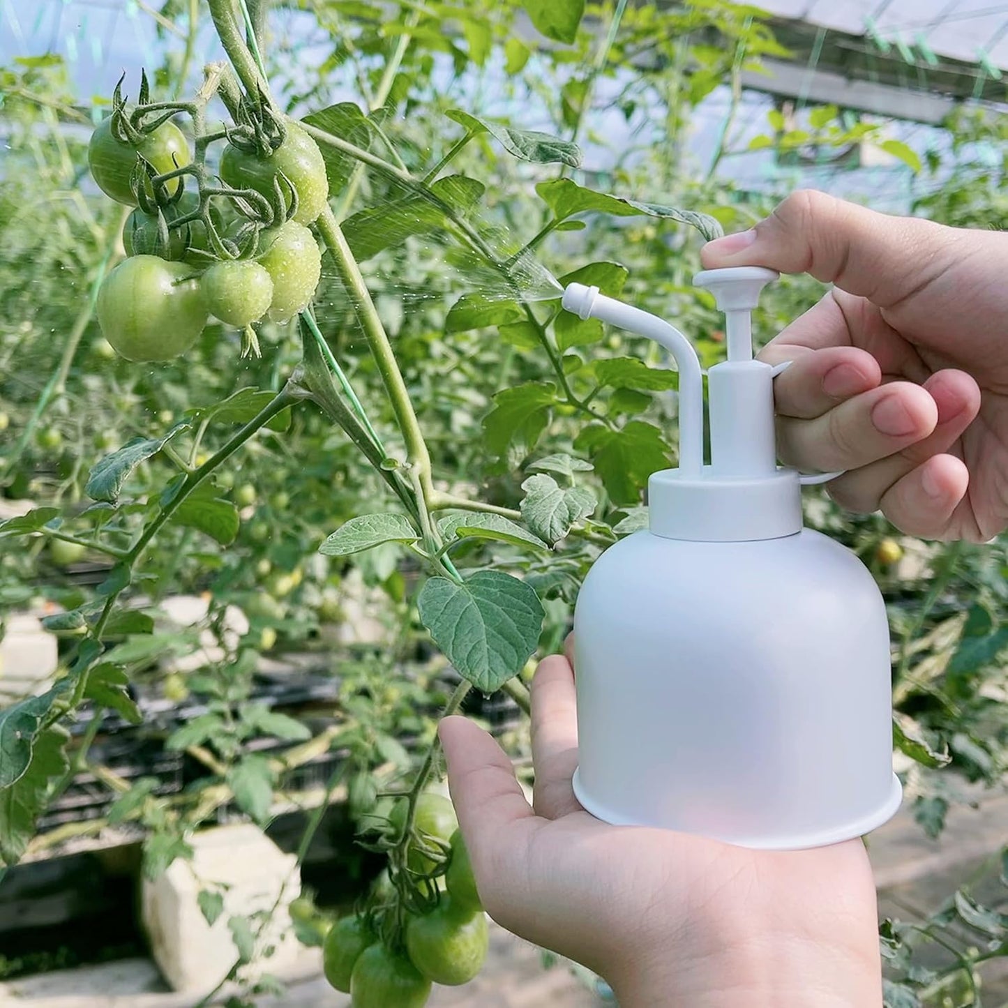 Plant Mister Spray Bottle Stainless Steel Watering Can for Indoor Plants Bonsai Sprayer Succulent Spritzer Houseplant Atomizer Terrarium Mister Modern Garden Tools 10oz/300ml White