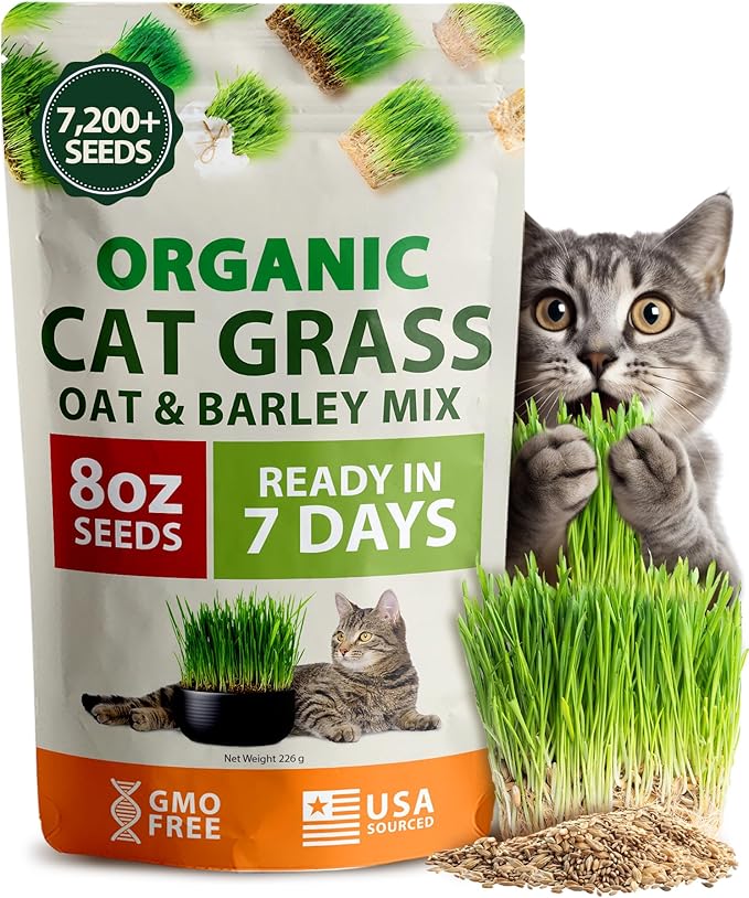 HOME GROWN Organic Cat Grass Seeds Pack 8oz – 7200 𝗡𝗢𝗡-𝗚𝗠𝗢 𝗨𝗦𝗔-𝗦𝗢𝗨𝗥𝗖𝗘𝗗 Heirloom Oat & Barley Grass Seeds for Indoor Cats – High Germination Hairball Relief, Pet Grass Ready in 7Days