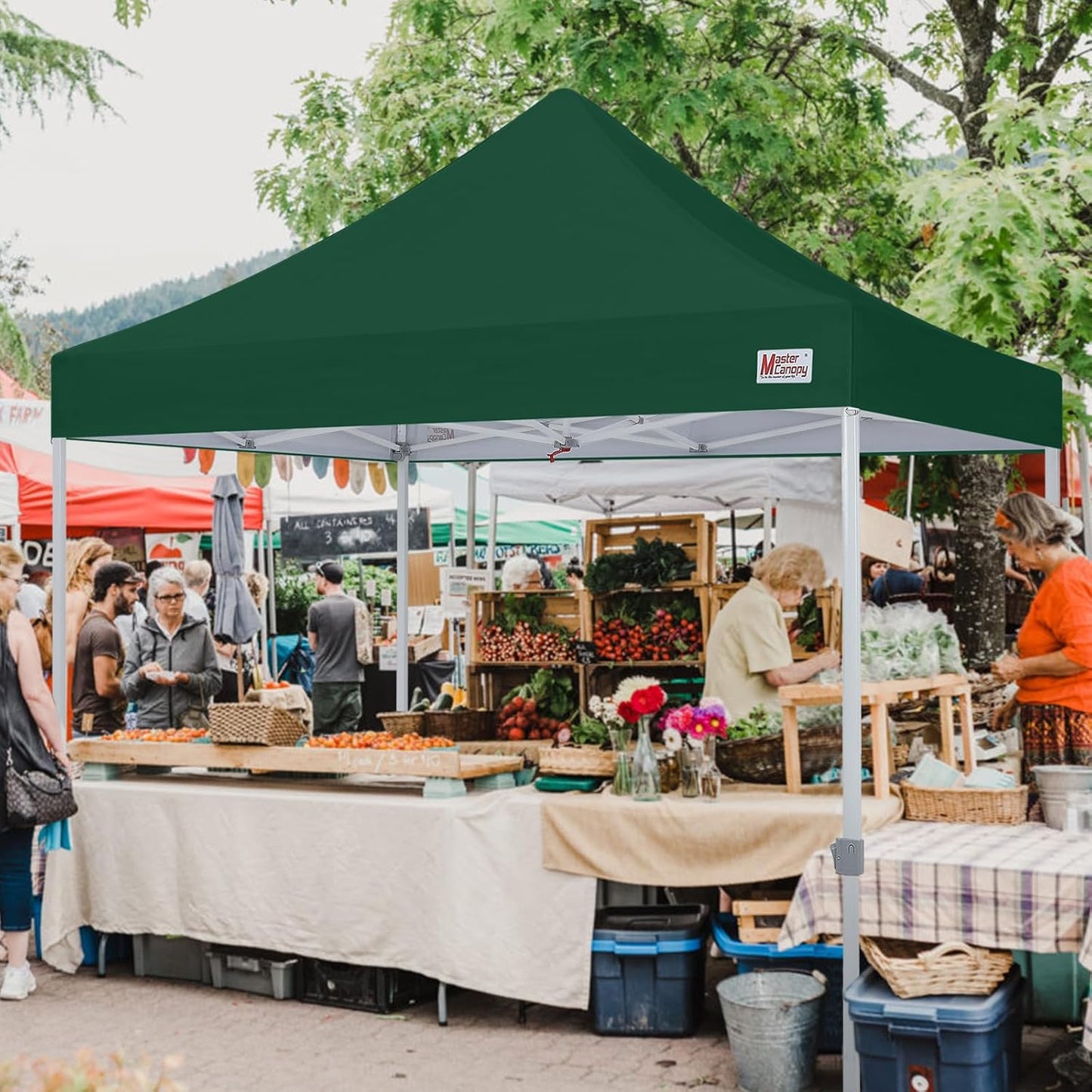 MASTERCANOPY Pop Up Canopy Tent Commercial Grade 10x10 Instant Shelter (Forest Green)