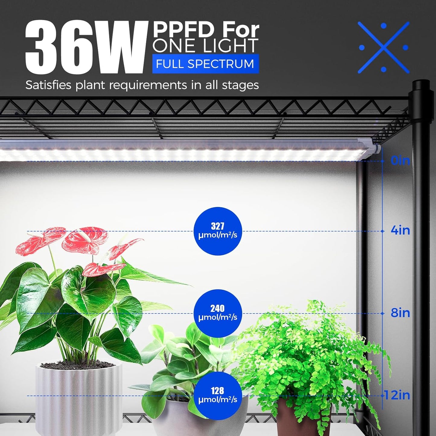 Barrina CX3Z Indoor Greenhouse with Grow Light, 4-Tier Metal Plant Stand with Zippered EVA Cover and Wheels, LED Full Spectrum 3FT 36W(per Light) Plant Growing Lamp with Timer, 35.4"x13.8"x70.9"
