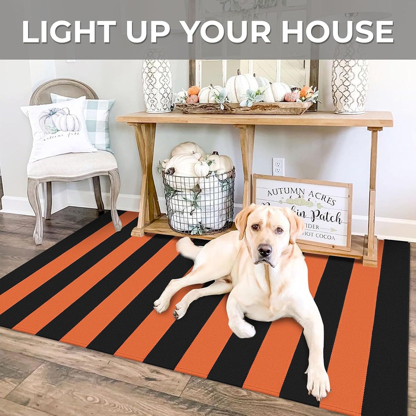 IOHOUZE Fall Door mat 3x5 Ft Orange Black Striped Area Rug Washable Front Porch Rug Striped Door Mat Outside Entrance Entryway Doormat for Fall, Halloween, Thanksgiving Porch Decor