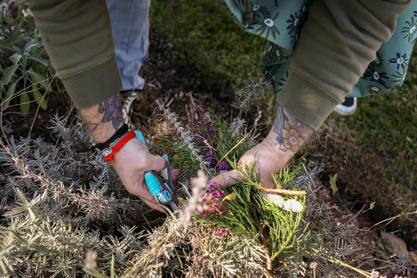 OASIS Forage Branch Cutter | Stainless Steel Precision Engineered Blades | Bright Blue Ergonomic Comfort Grip Handle