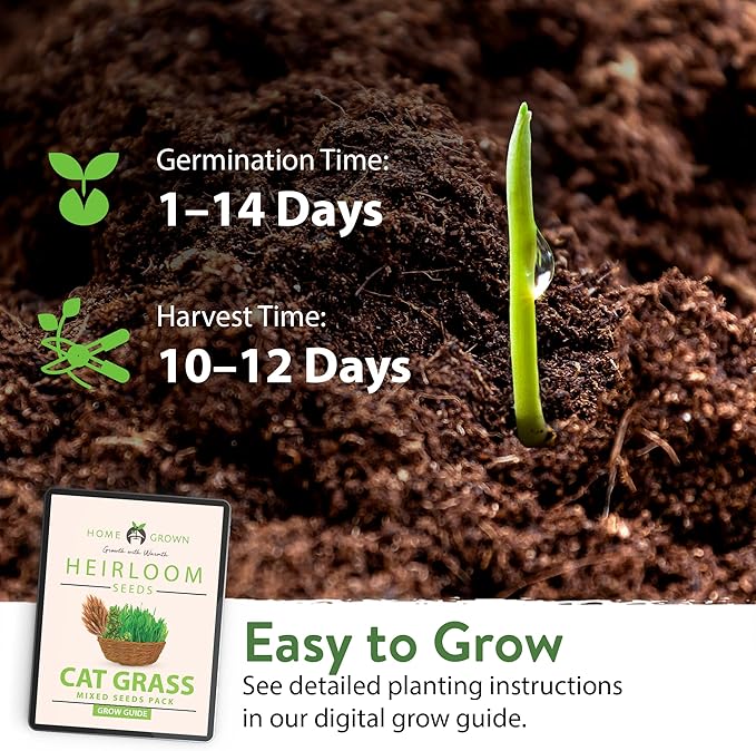 HOME GROWN 2,160+ Cat Plant Seeds Mix – 𝗡𝗢𝗡-𝗚𝗠𝗢 𝗨𝗦𝗔-𝗦𝗢𝗨𝗥𝗖𝗘𝗗 Heirloom Catnip, Lemongrass, Licorice, Thyme & Valerian – Pet-Friendly Indoor Garden Refill Kit for Cats & Kittens
