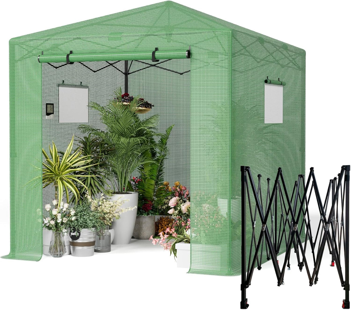 Pop Up Greenhouse 8x6FT, Pop Up Green House for Outdoors, Portable Greenhouses, Walk-in Greenhouses, Popup Greenhouse Kit, Easy Set Up