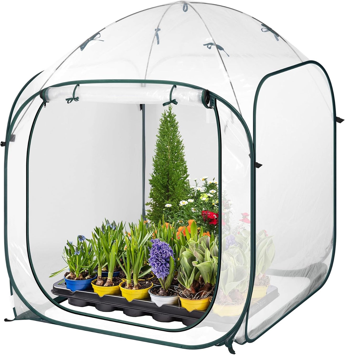 VIVOSUN 49x49x63-Inch Portable Walk-in Greenhouse, with PVC Cover & Detachable Base, Instant Pop-up and Folding, Mini Greenhouse with Roll-Up Door & Mesh Window for Indoor Outdoor, Wind Ropes Included