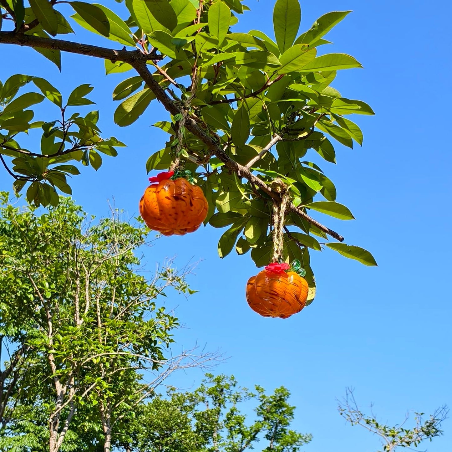 Small Glass Hummingbird Feeders for Outdoors Hanging - Hand Blown Glass Pumpkin Nectar Feeding, Orange Yellow with 2 Flowers Feeding Ports, Decor for Garden/Backyard Outside