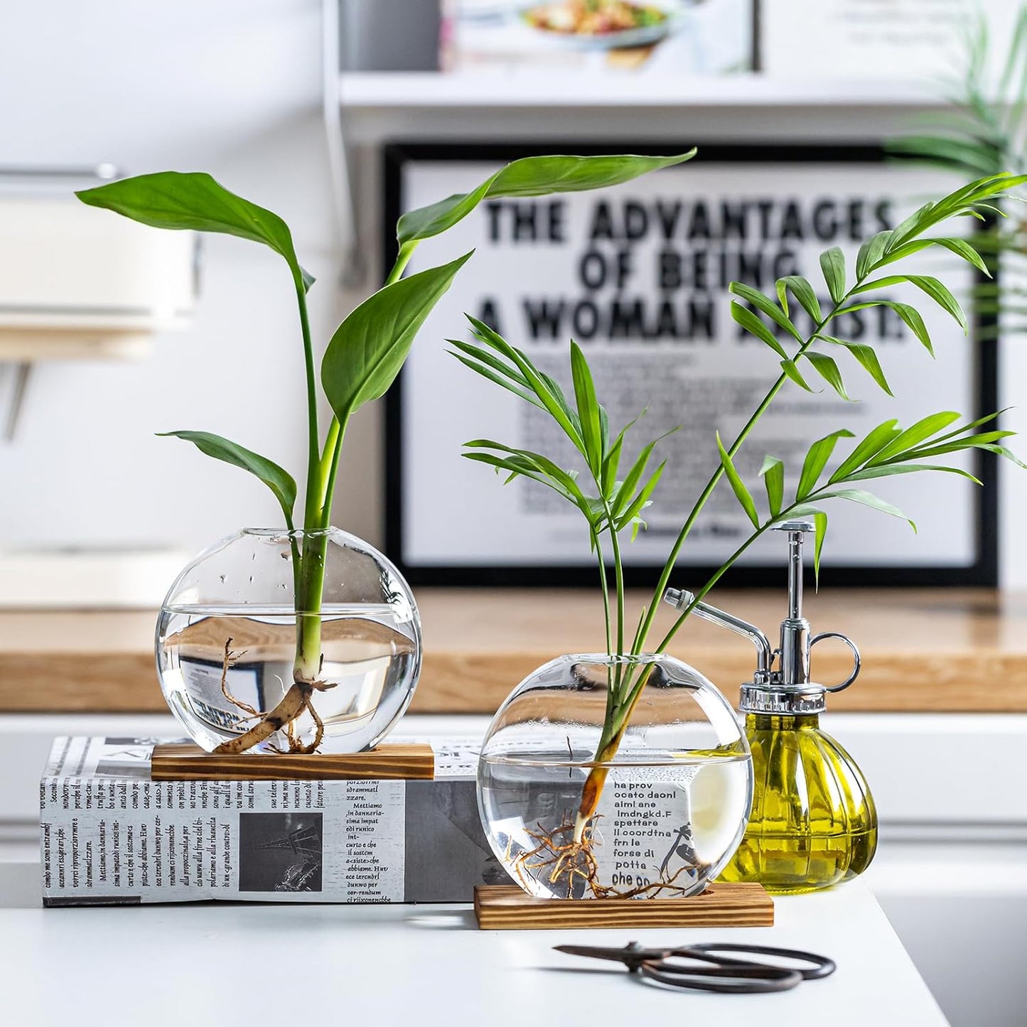 Glass Planter Propagation Station with Wooden Base - Clear Oblate Hydroponic Vase, Decorative Desktop Flower Vase for Home, Office, Windowsill - Gift for Plant Lovers (2)