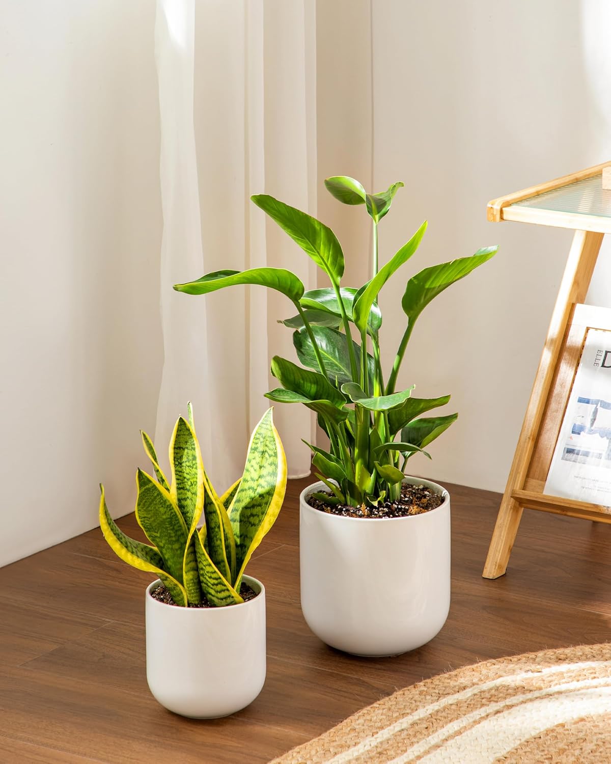 vancasso 8 Inch Ceramic Plant Pots, Planters with Drainage Hole, Flower Pots Planters Pots for Indoor Plants, Modern Indoor Decorative Garden Pot, Home Decor, White