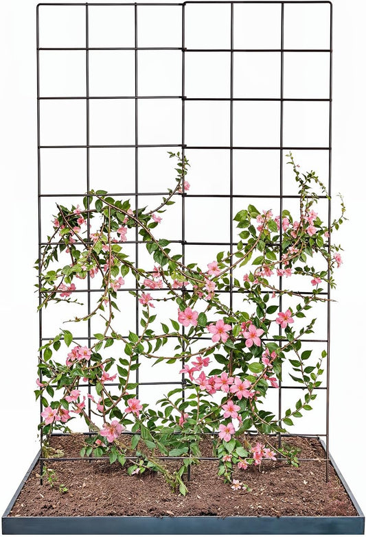 IDZO 2-Panel Folding Trellis, Basic Metal Decoration Trellis for Climbing Plants Outdoor, Tall Metal Plant Trellis with Steel Frame, Panel Trellis Garden Lattice for Vines & Vegetables