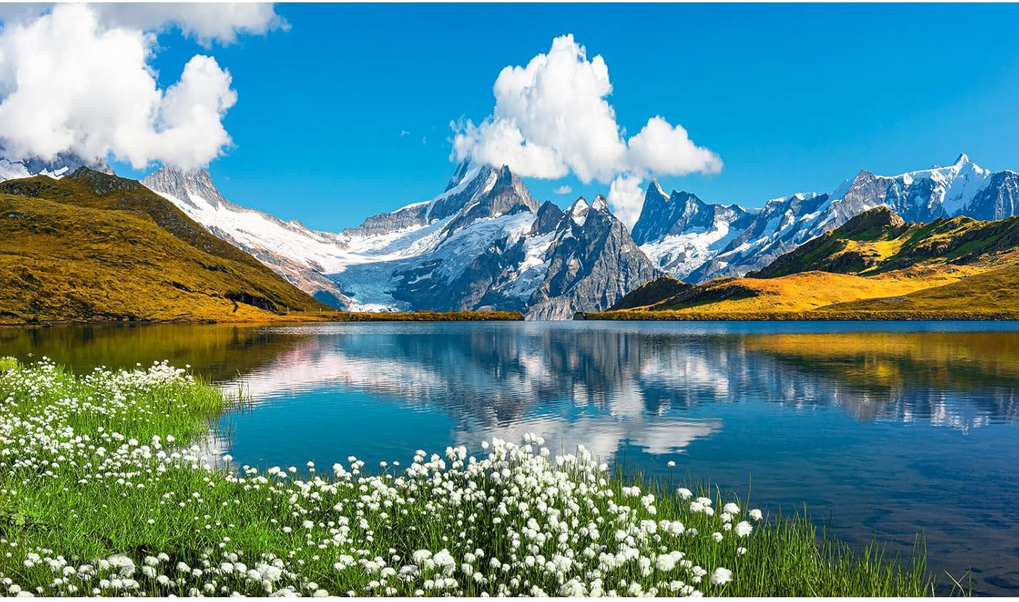 Mountains Lake Aquarium Background Bernese range View Fish Tank Background Switzerland Alps Grindelwald Valley Lake Terrarium Background Fantastic Natural Landscape Aquarium Fish Tank Decors 24x16in