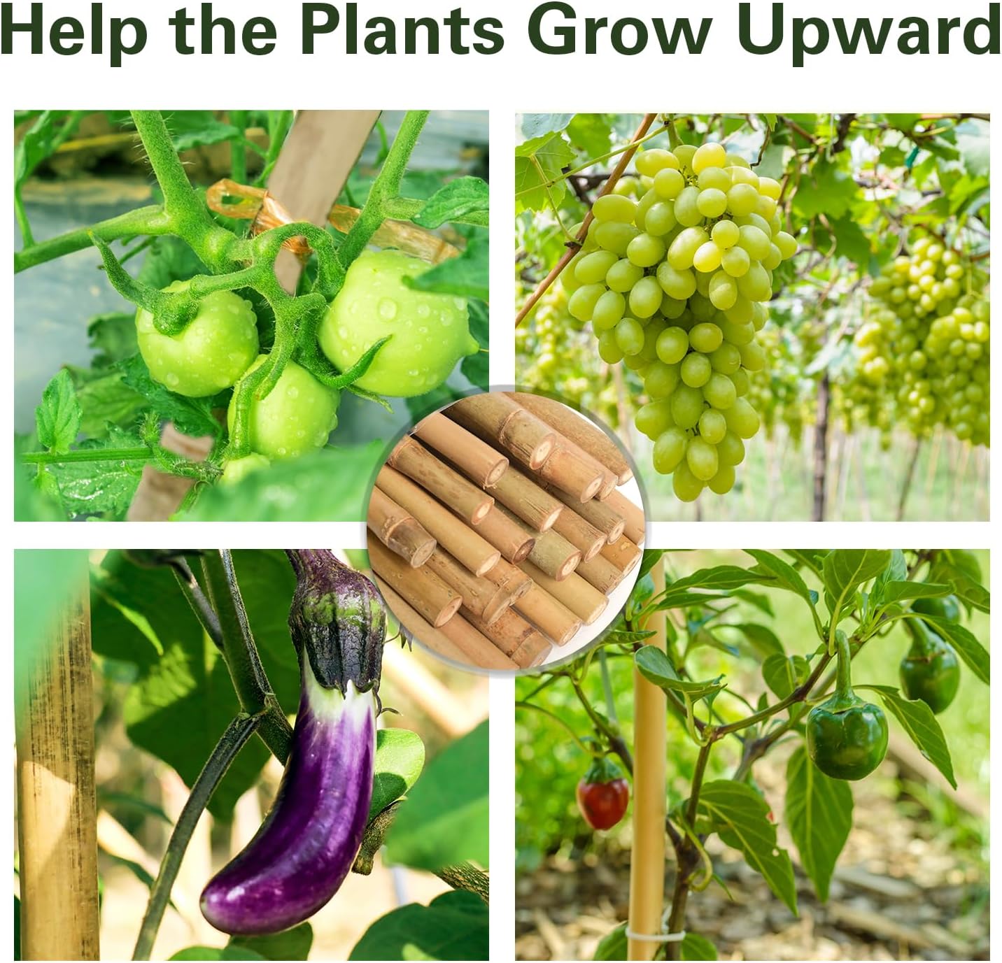 Bamboo Stakes 8 Feet, 96 inch Garden Stakes Multi-Purpose, Bamboo Plant Support Stakes for Tomatos, Beans, Cucumbers, Peppers, Potted Trees, Maintain The Plant Posture, Strengthen and Stem