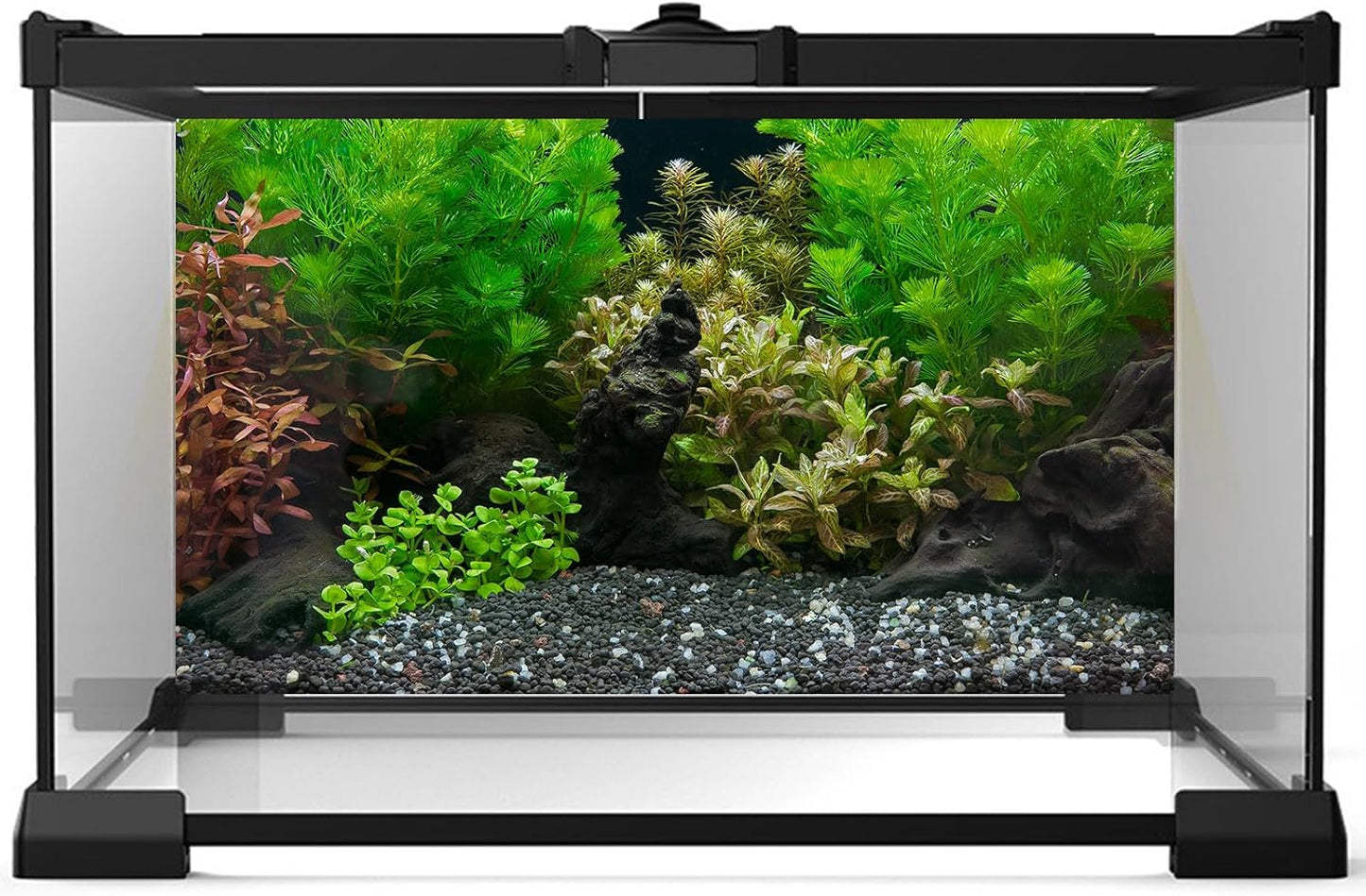 Aquarium Background Exquisite Underwater Grass Leaves with Pebbles Aquarium Backdrop Vivid Green Aquatic Plant Stone with Dead Woods and Fresh Leaves Fish Tank Wallpaper 24x16in