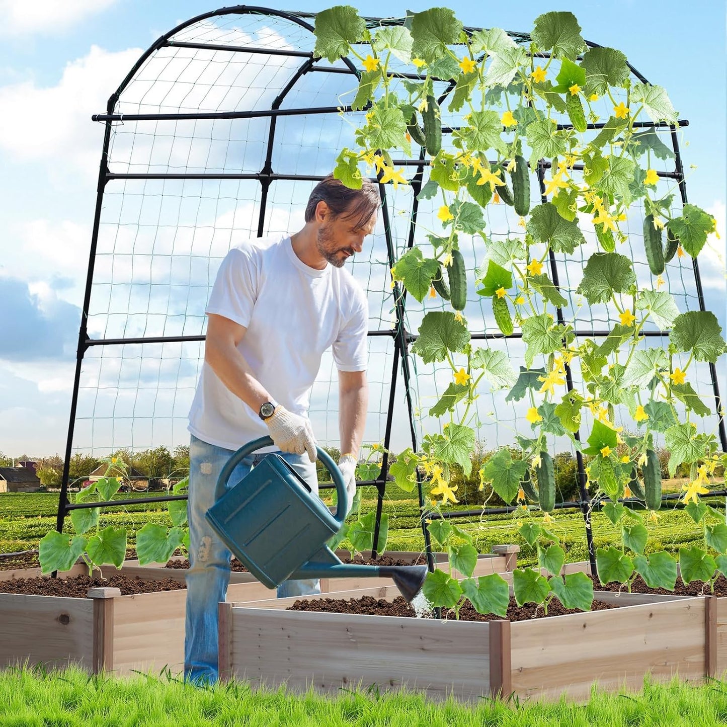 Lalahoni Garden Arch Trellis for Climbing Plants Outdoor, 7.8 Feet Tall Metal Large Archway Arbor Trellis Vine Plant Vegetables Squash Pumpkin Peas Beans Cucumber for Garden Raised Bed, Black