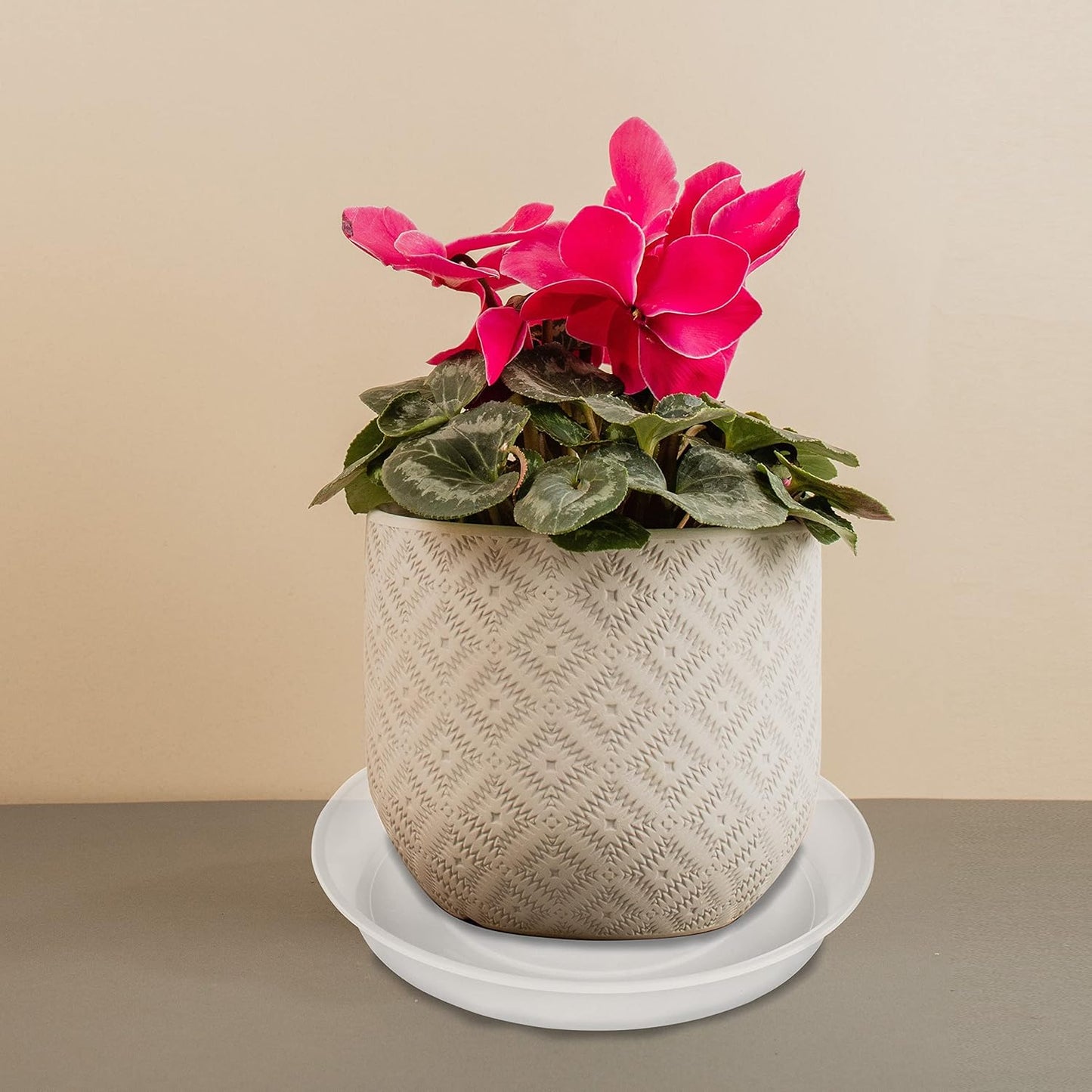 6 Pack Plant Saucer Tray, 4 5 6 8 10 12 13 15 17 19 inch Plant Saucers, Heavy Duty Plastic Plant Drip Trays for Indoors, Flower Plant Water Tray, Plant Trays for Pots Base (6 inch, Clear)