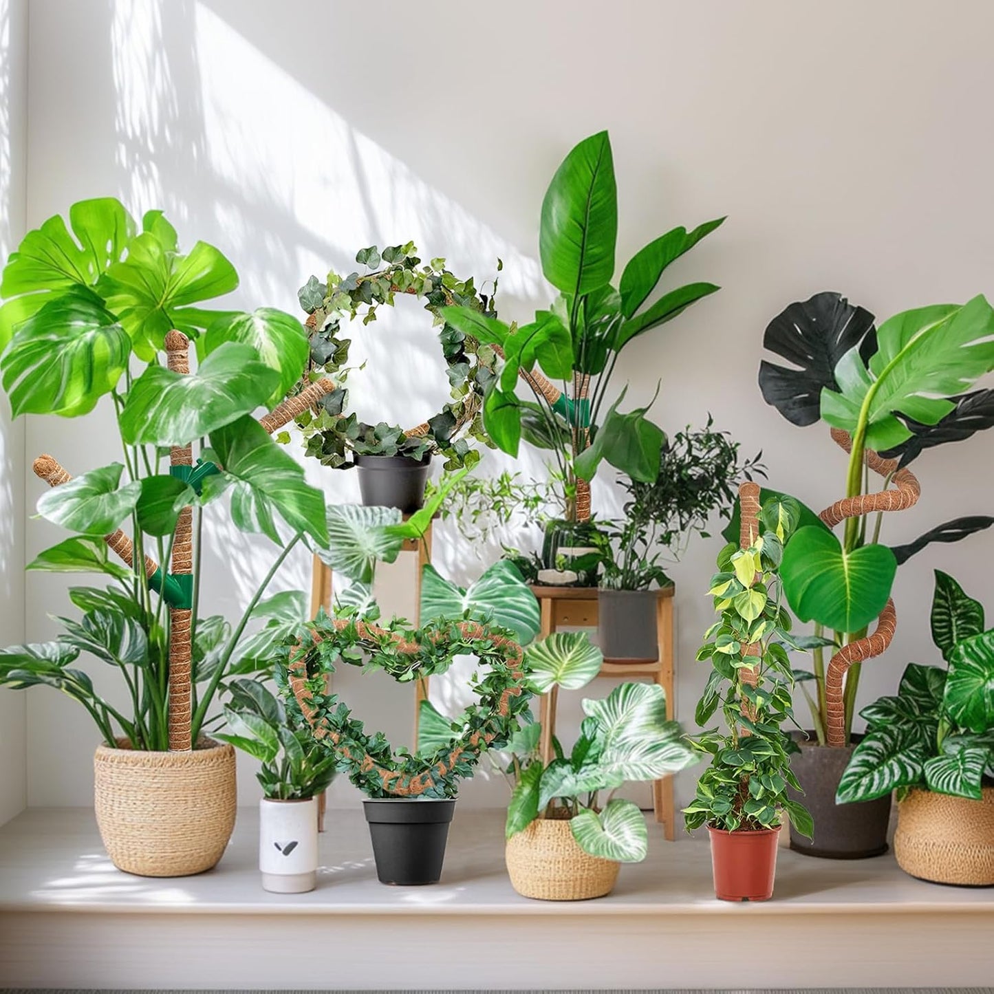 Moss Pole 30 Inch, 2 Pack Monstera Plant Support, Bendable Plant Stakes for Indoor Plants, Plant Sticks Support Tall，Coco Coir Plant Poles for Climbing Plants, Pothos, Philodendron