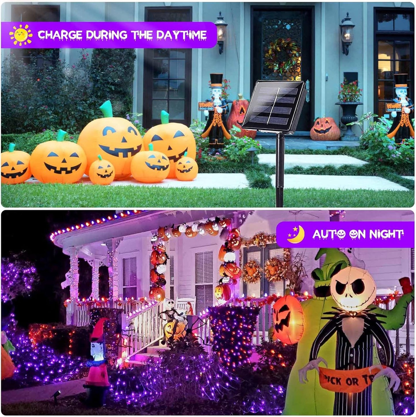 EEW 2 Pack 200 LED Solar Halloween Lights Outdoor Waterproof, Solar String Lights for Outside, Solar Powered Tree Light with 8 Lighting Modes for Xmas Party Garden Yard Halloween Decorations (Purple)