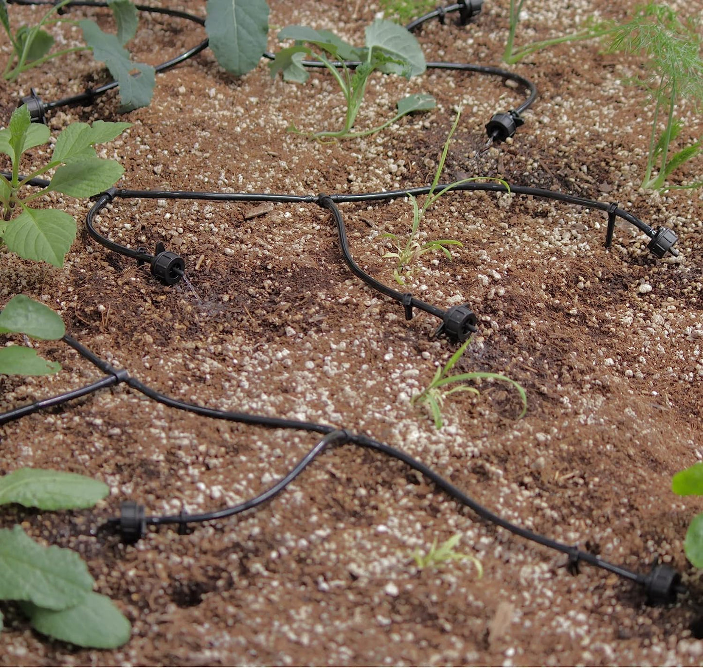 AEO Solar-Powered Automatic Watering Drip Irrigation System, 50 Drippers, 155 ft for Balcony Greenhouse Raised Garden Bed