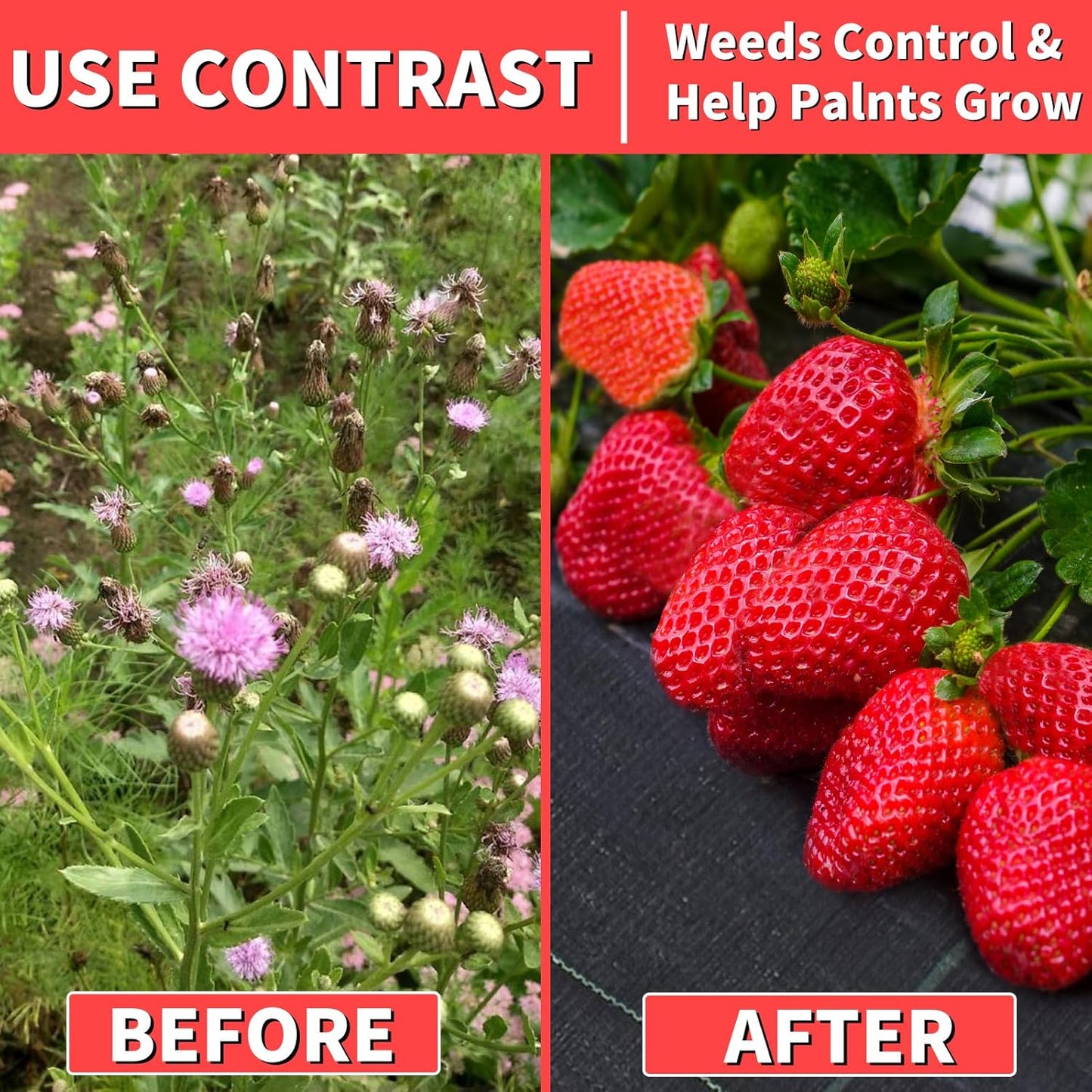 3ft x 250ft Landscape Fabric -Heavy Duty Weed Barrier Fabric for Landscaping, Weed Blocker Cloth,Geotextile Fabric for Garden, Driveway & Ground Cover, Garden Weed Mats,Grid Design