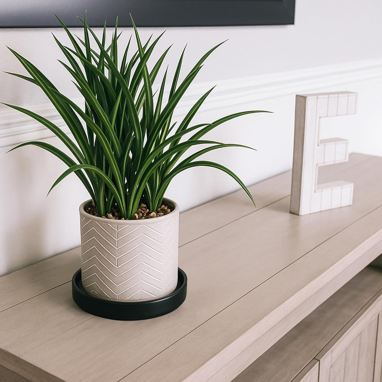 D'vine Dev Modern Round 5.4 Inch Ceramic Plant Pot Saucer, Planter Pot Drainage Tray for Indoor Plants, Set of 2, Matte Black, 97-T-B-22