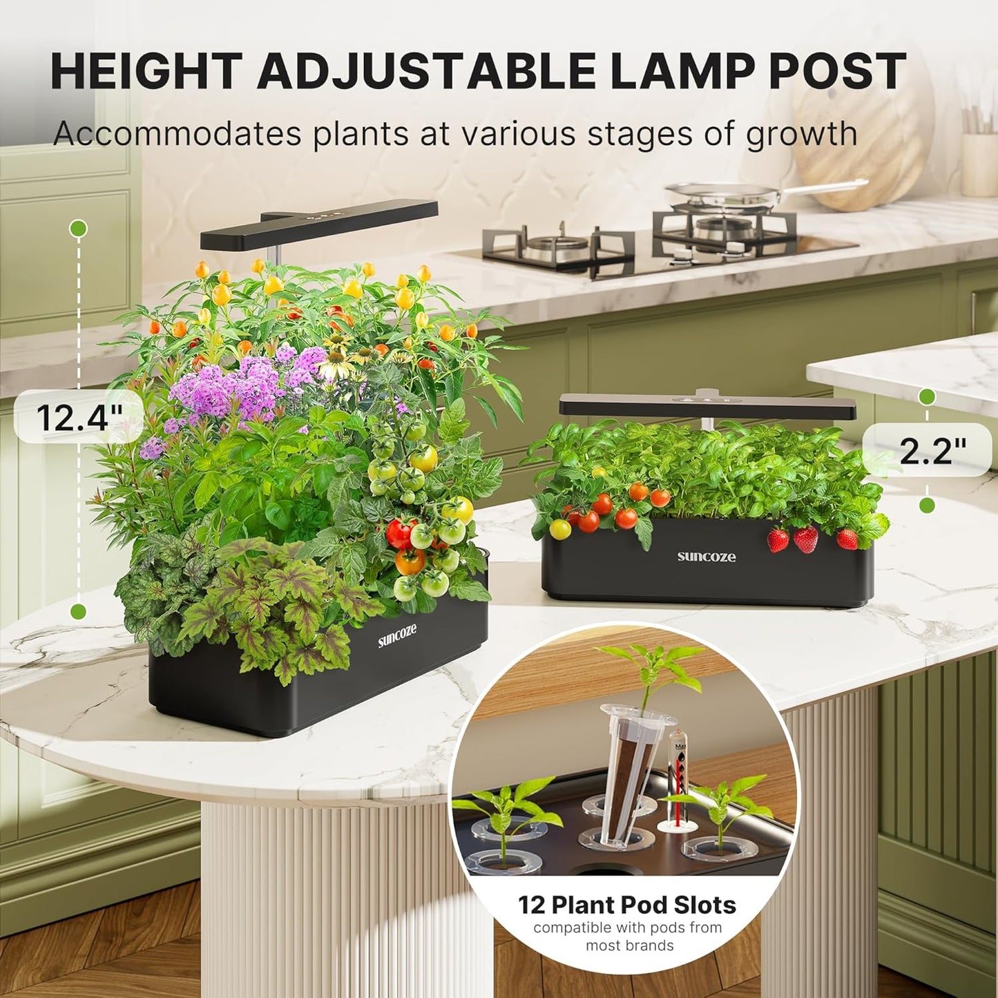 SUNCOZE Hydroponics Growing System Kit 12 Pods, 24W LED Grow Light Indoor Garden, 4L Water Tank with Quiet Pump, Adjustable Height Herb Garden Planter Indoor Kit, Gardening Gifts, Black