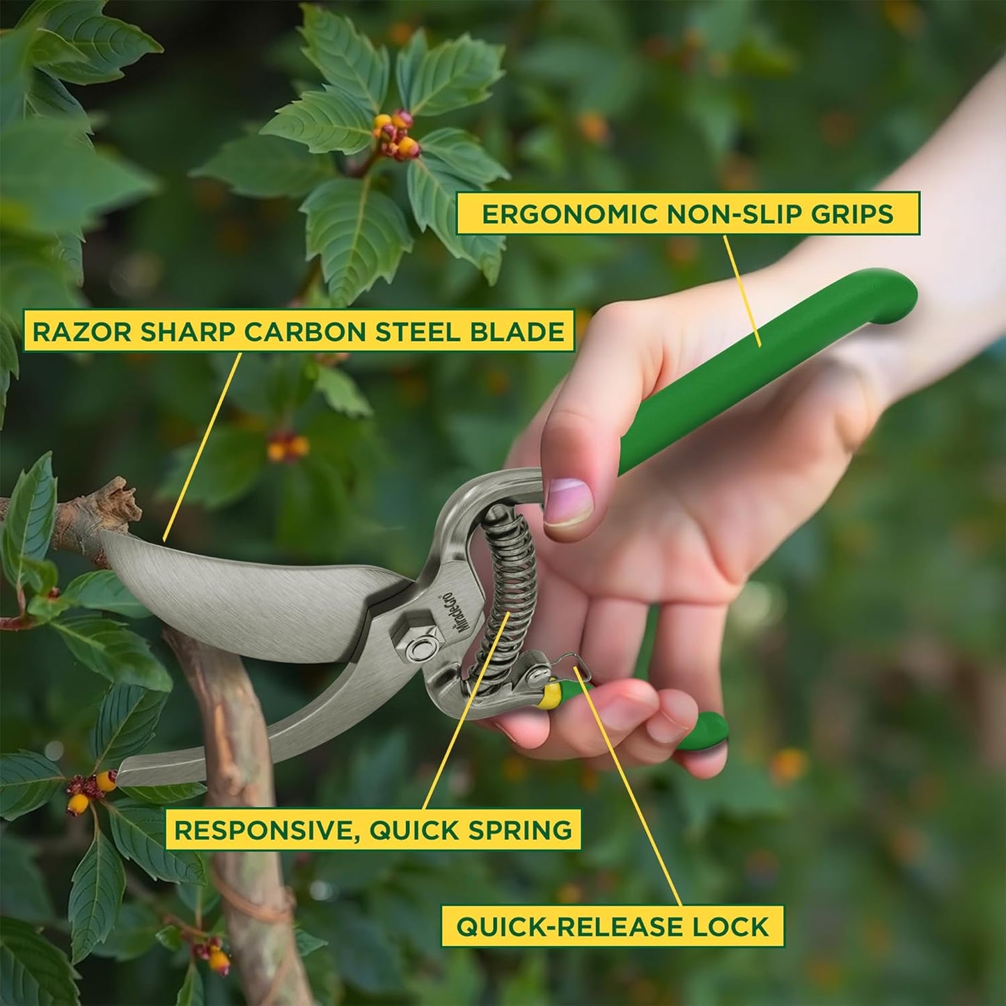 Miracle-Gro 8 in. Bypass Pruning Shears with Belt Pouch – 1/2 in. Cutting Capacity Hand Pruner with Carbon Steel Blade and Comfort Grip – Garden Tool for Live Plants and Soft Stems