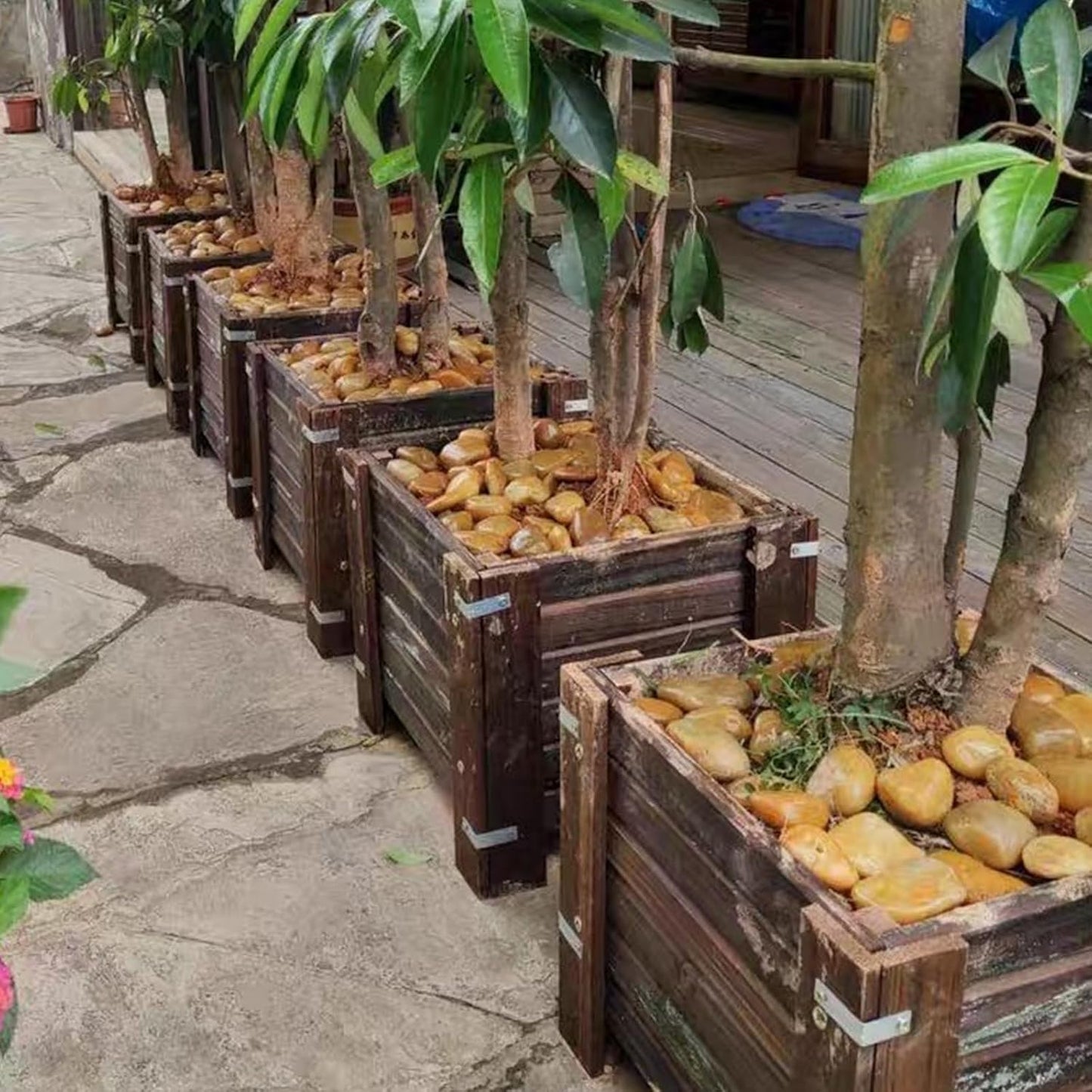 40 lbs Yellow River Rocks for Landscaping, 2-3 Inch Polished Pebbles for Indoor Plants, Decorative Rocks Stones for Vases, Aquariums, Fountains, Pathways, Backyard and Garden