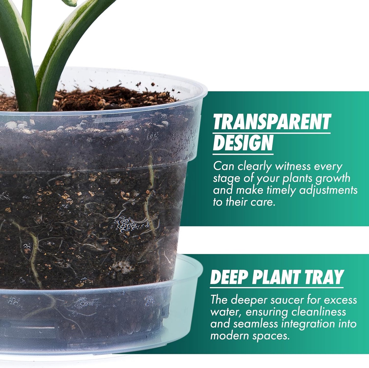 6 Inch Clear Plastic Plant Pot with Drainage Holes, Interlocking & Detachable Tray - Deep Saucer - Durable BPA-Free Plastic, Transparent Design, Raised Base for Airflow, Set of 12, 92-X-B-4