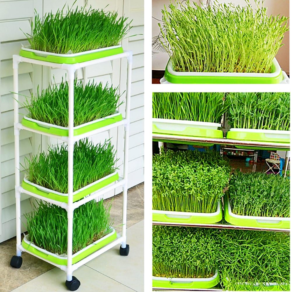 4 Layers Sprout Trays with Extra Strength Plastic Shelf Soil-Free Healthy Wheatgrass Seeds Grower & Storage Trays for Garden Home Office