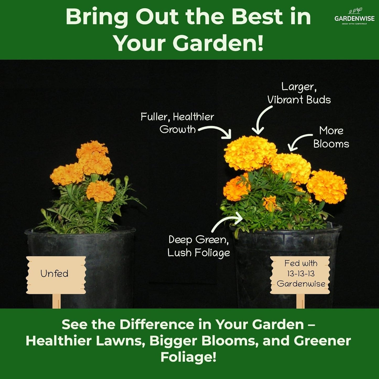 13-13-13 Slow Release Granular Fertilizer – All Purpose Plant Food 13 13 13 for Outdoor Grass, Vegetables, Roses, Flowers, Shrubs, Trees. Lawns, Gardens, Potted Plants (5 quarts)