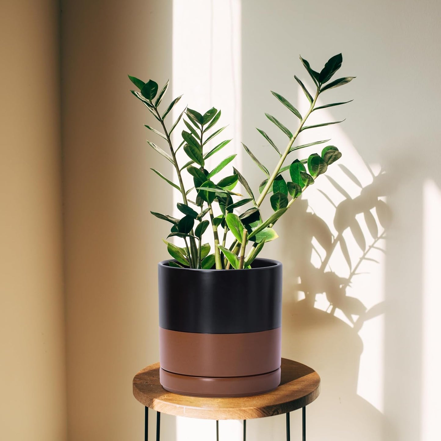 D'vine Dev 6 Inch & 8 Inch & 10 Inch, Set of 3 Round Ceramic Planter Pot with Drainage Hole and Saucer, Black/Speckled Tan, 94-T-L-7